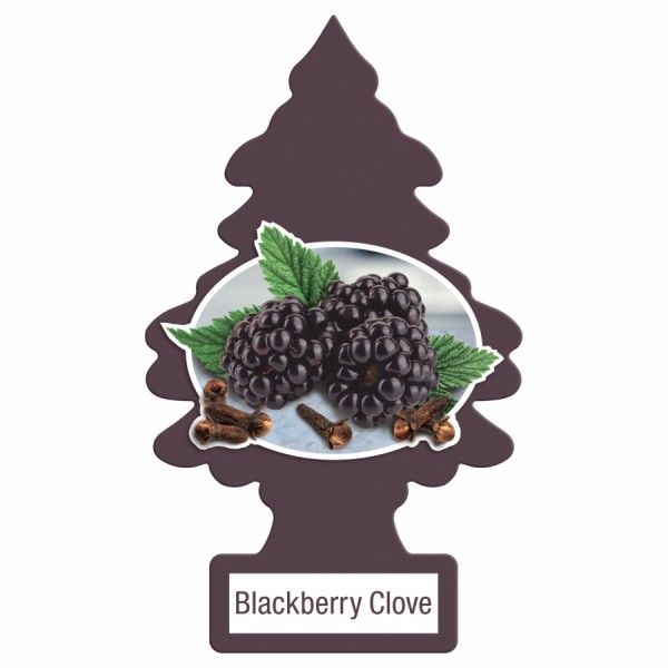 LITTLE TREE  1 PK. BLACKBERRY CLOVE