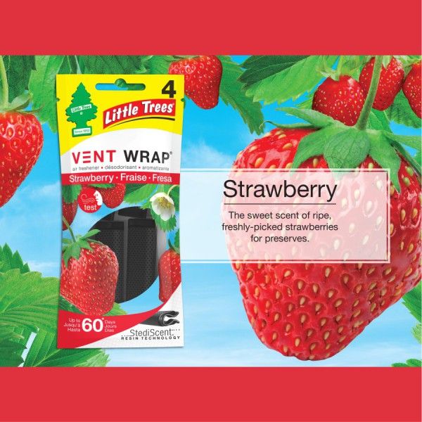 VENT WRAP LITTLE TREE STRAWBERRY 4 PK