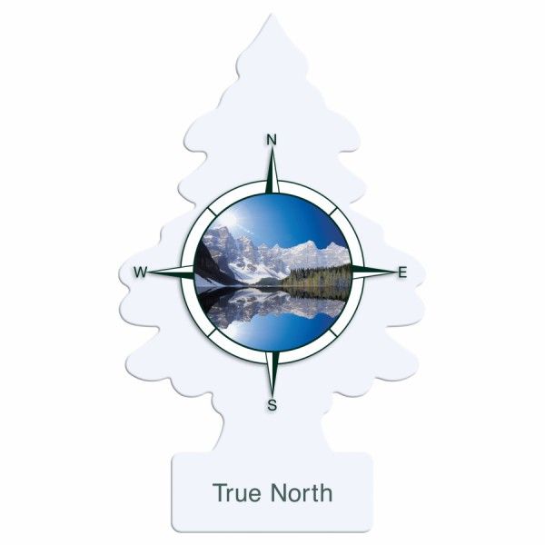 Little Trees Extra Strength True North