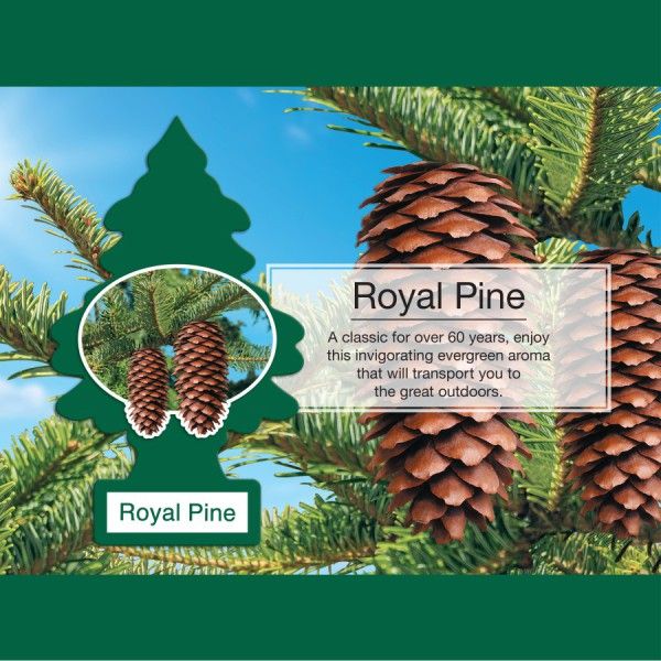 Little Trees Extra Strength Royal Pine