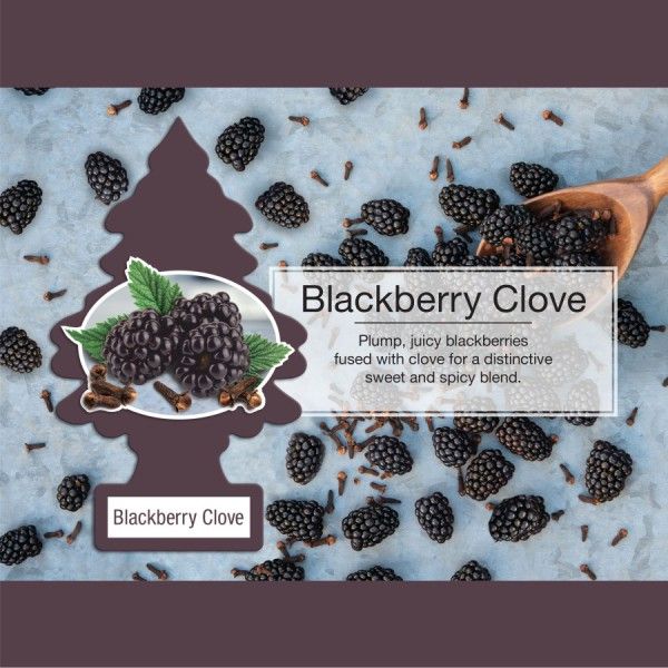 LITTLE TREE  1 PK. BLACKBERRY CLOVE