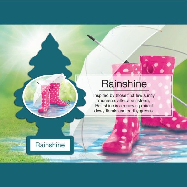 LITTLE TREE 1 PK. RAINSHINE