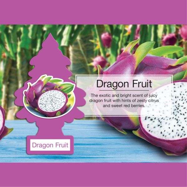 LITTLE TREE 1 PK. DRAGON FRUIT