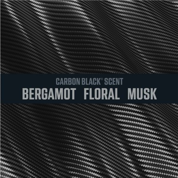 Ozium 0.8 Oz.  Auto Air Freshener Carbon Black