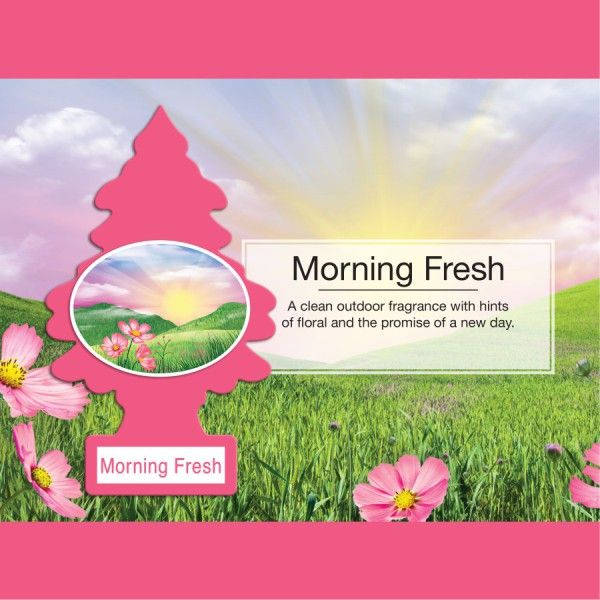 LITTLE TREE 1 PK. MORNING FRESH