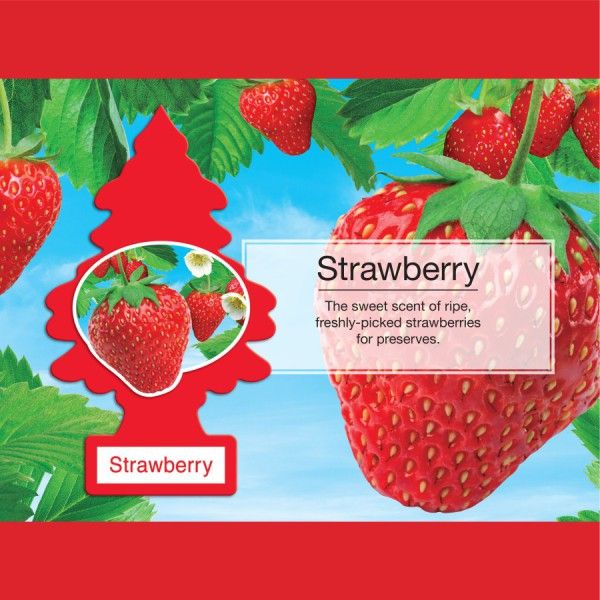 LITTLE TREE 1 PK.STRAWBERRY