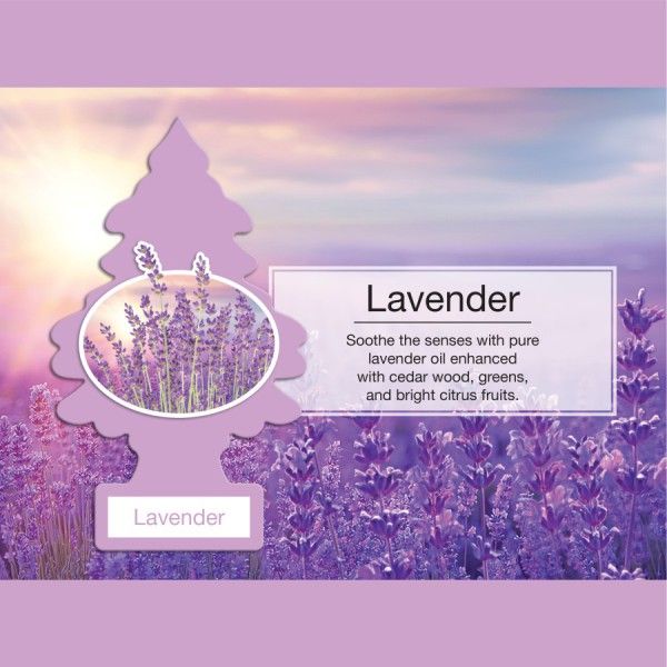 LITTLE TREE 1 PK. LAVENDER