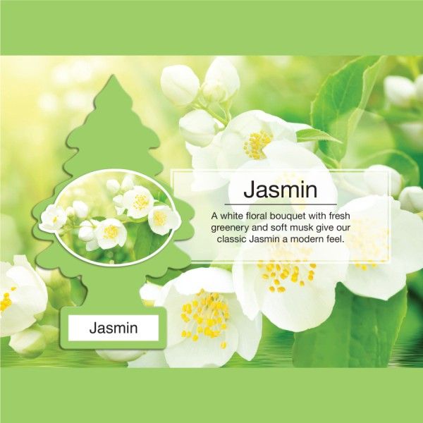 LITTLE TREE 1 PK. JASMINE