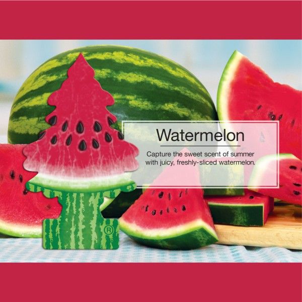 LITTLE TREE 1 PK. WATERMELON