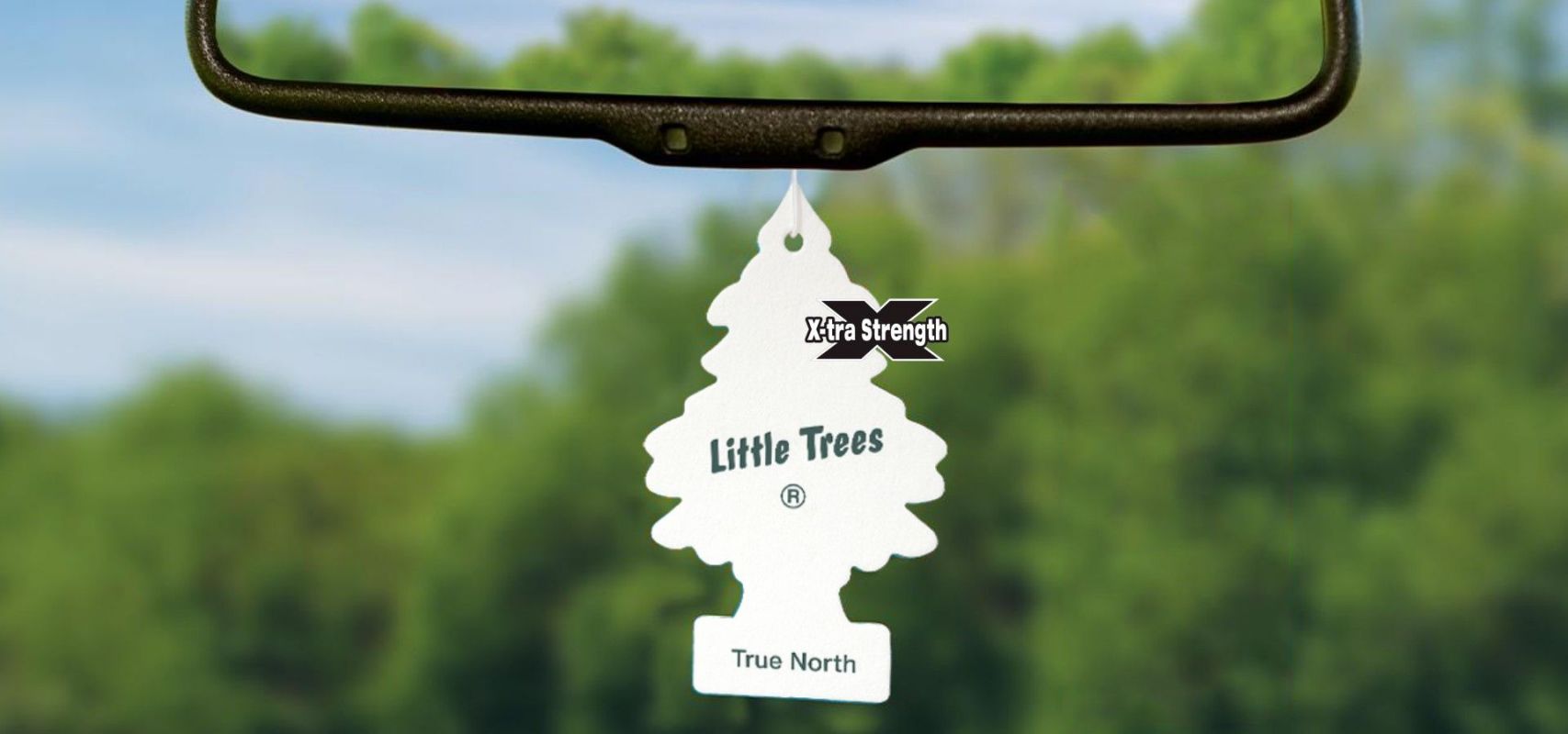 littletrees