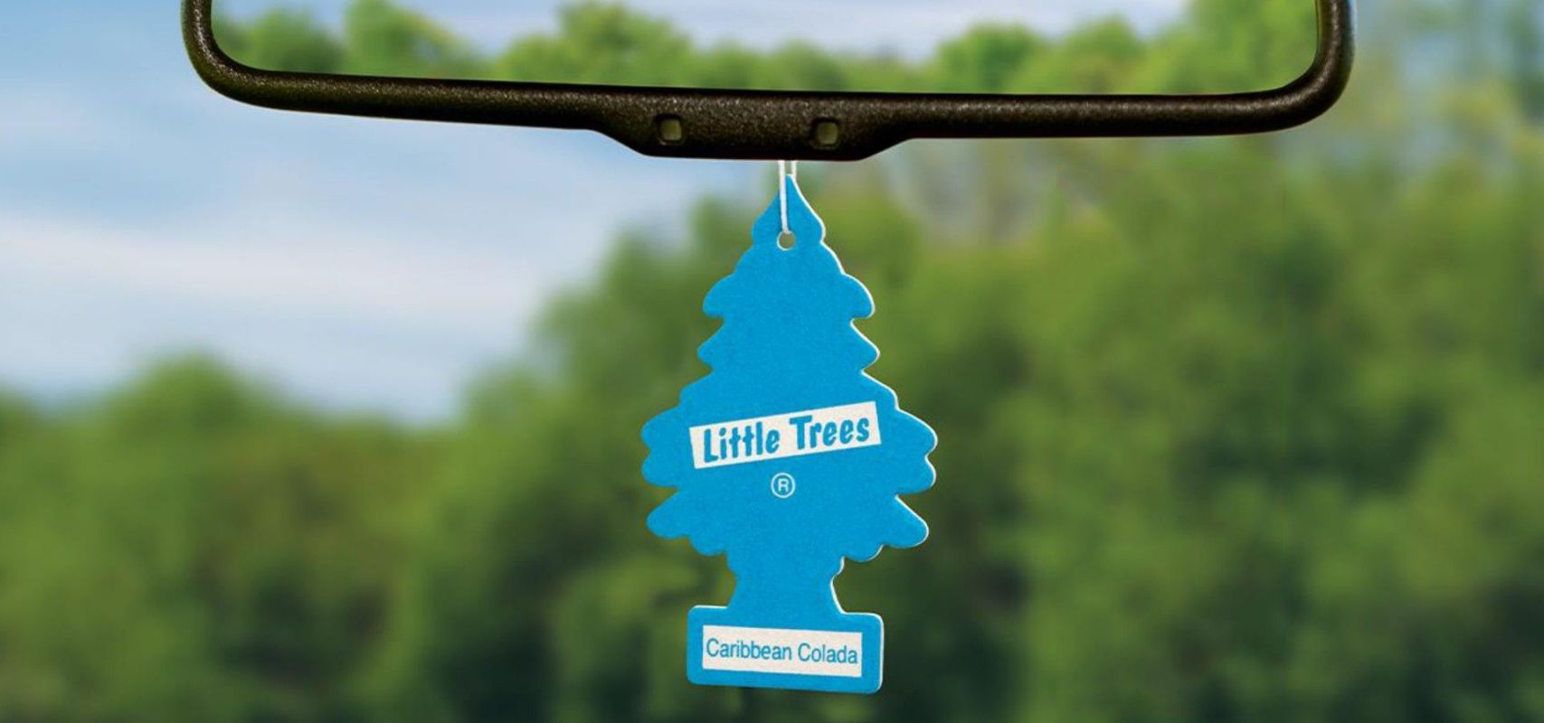 littletrees